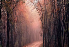 开云-关于迈阿密热火训练开放日；冲刺阶段队长鼓劲引欢呼；亚冠在即；轮换策略成焦点的信息