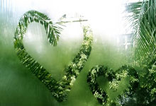 开云-关于迈阿密热火训练开放日；冲刺阶段队长鼓劲引欢呼；亚冠在即；轮换策略成焦点的信息